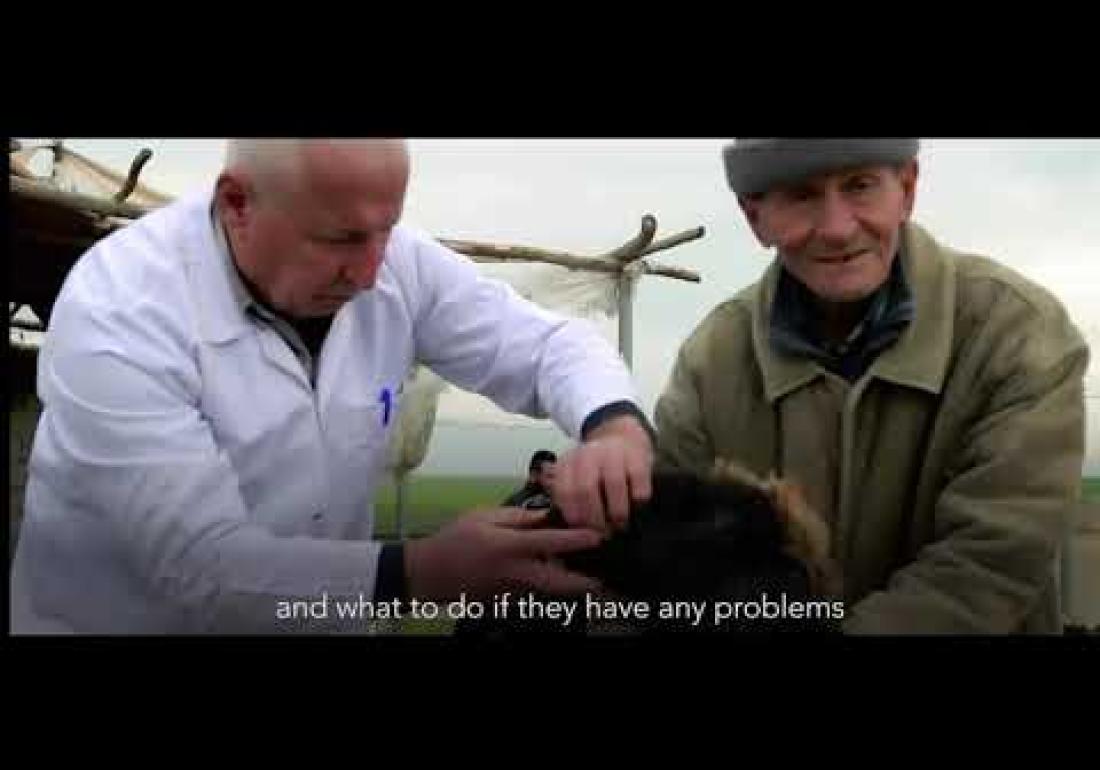 WISE Project