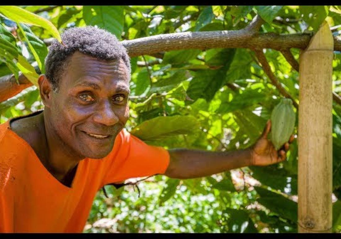 World Vision-trained farmer's cocoa beans voted in top 50 in the world