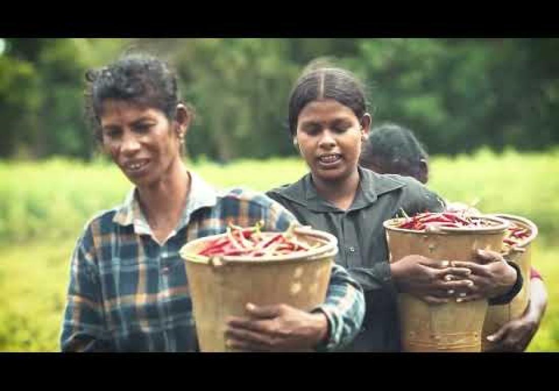 Everything we do is to EMPOWER the communities we serve - Jaffna Horticulture