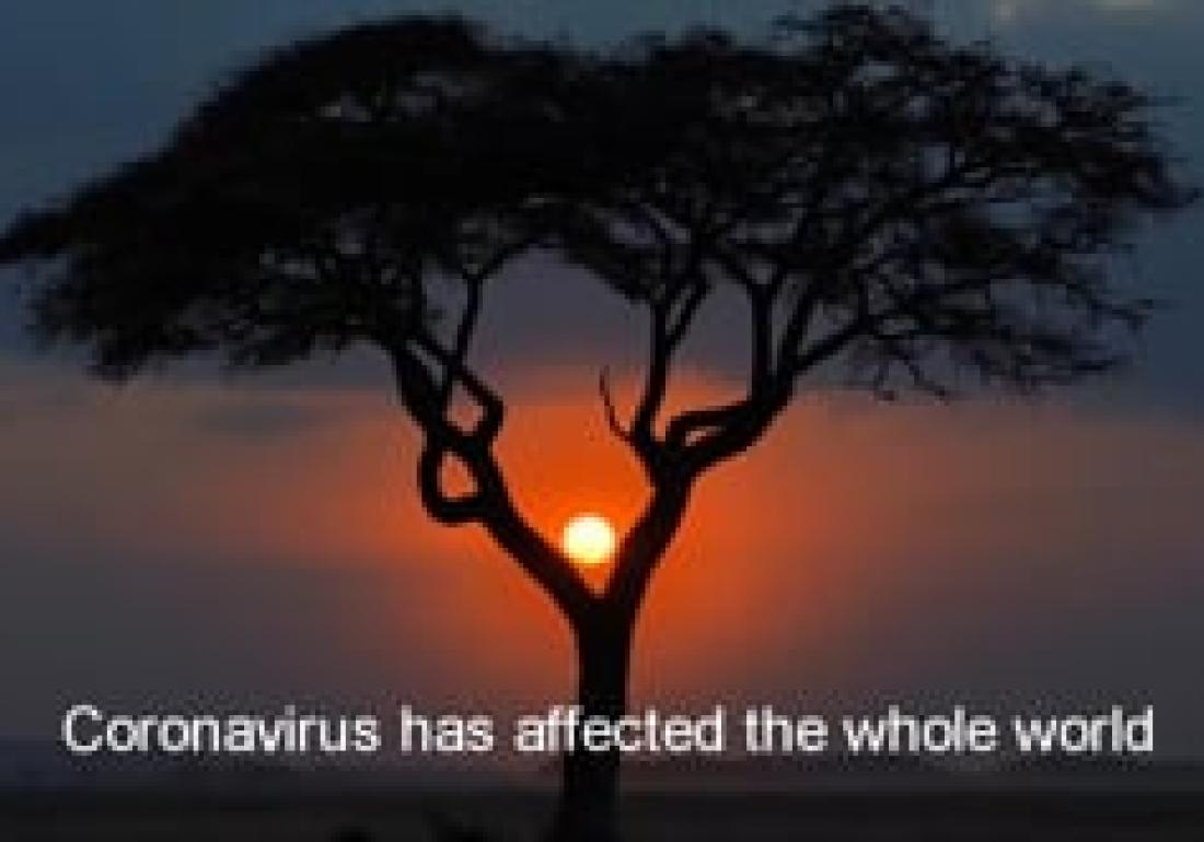 Coping during a pandemic: Hear from 10-year-old Vanessa from Malawi