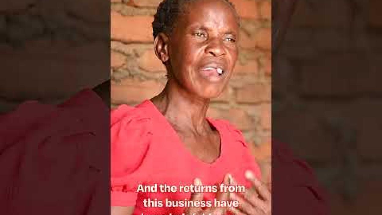 Solar Energy is Igniting Economic Freedom in Chikwa