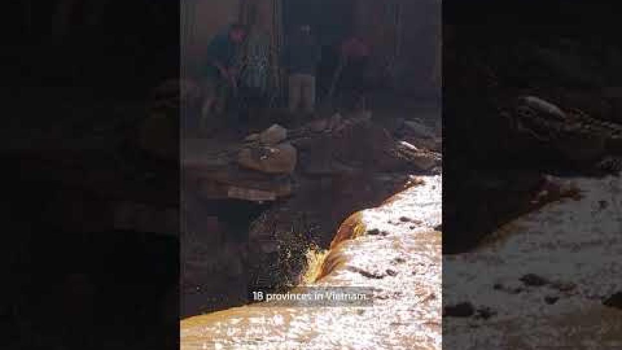 Vietnam's recovery after back-to-back typhoons