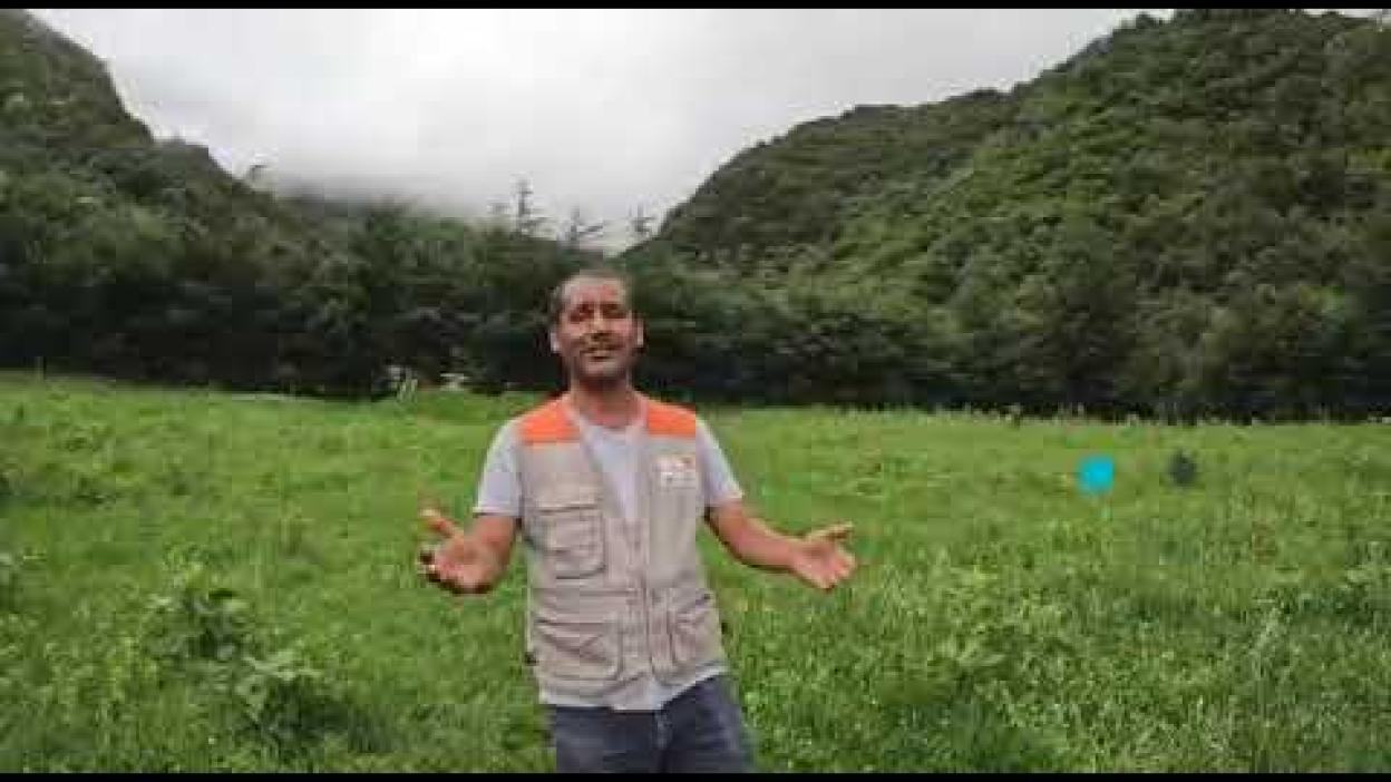 World Vision Ethiopia - Carbon Project