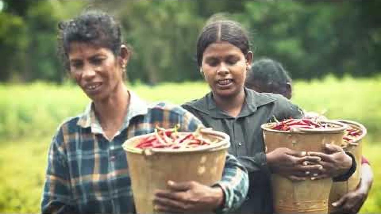 Everything we do is to EMPOWER the communities we serve - Jaffna Horticulture