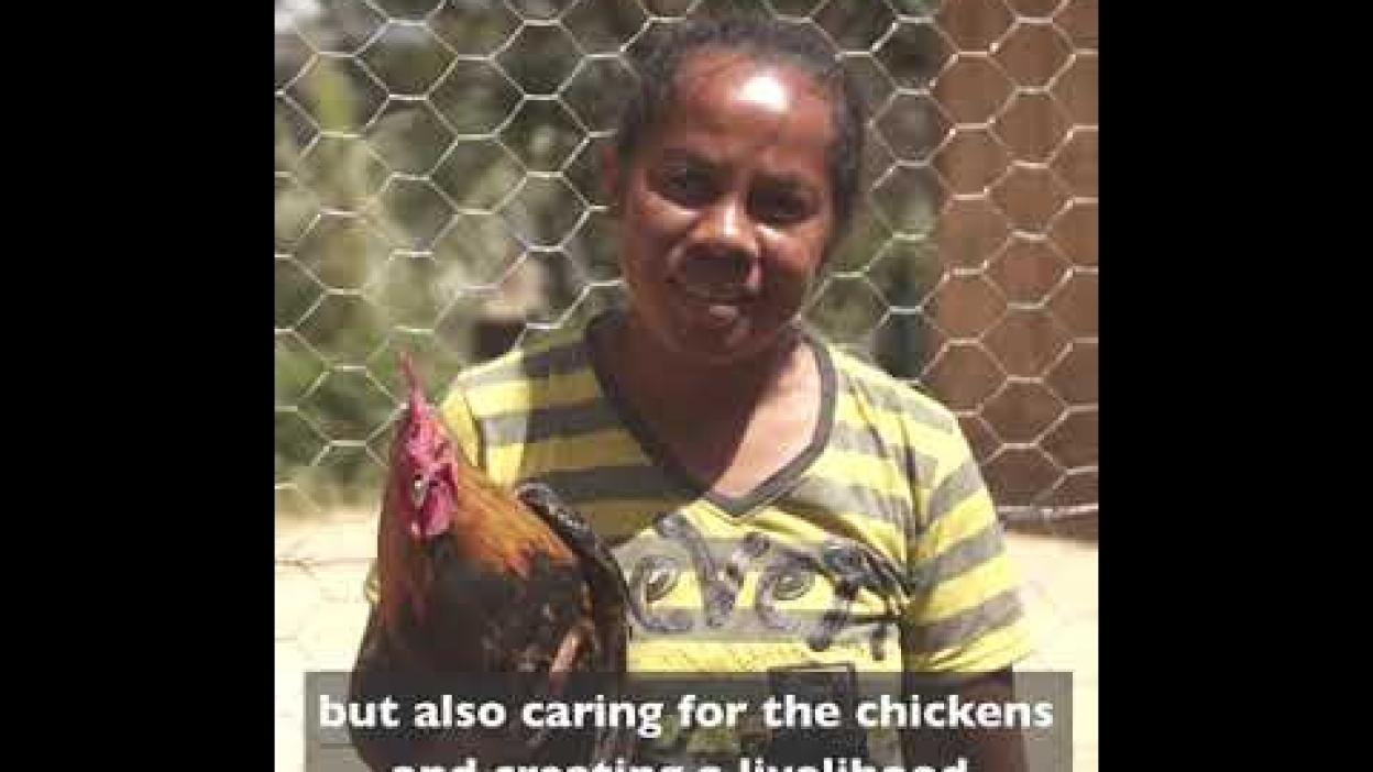 Raising chickens for child nutrition