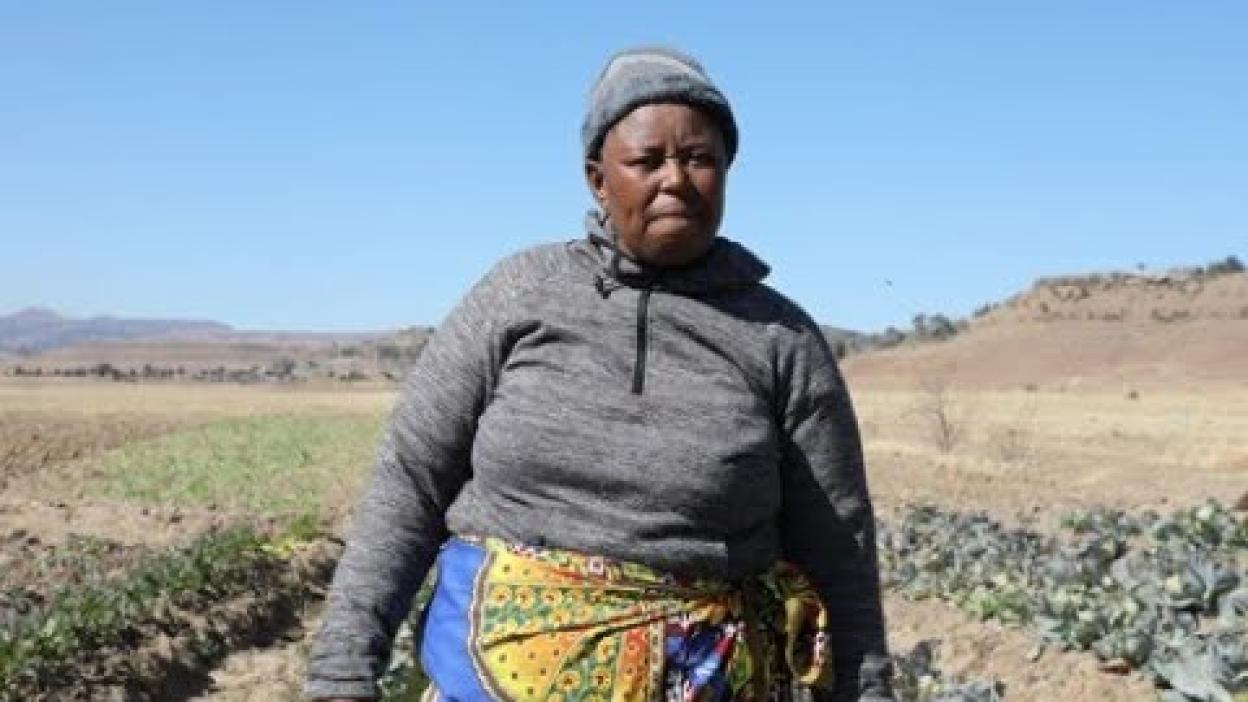 El Niño Drought Crisis Devastates Lesotho: Mamonyane’s Struggle to Save Livelihood and Livestock