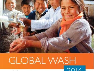 2016 WASH Annual Review