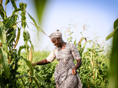 Senegal Livelihoods and Resilience Home Image