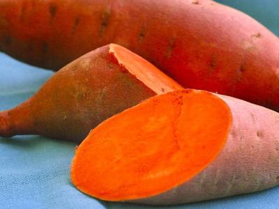 Reducing micronutrient deficiency through growing orange flesh sweet potatoes in Buikwe Uganda. World Vision Uganda Resilience and Livelihoods Farming as business. Health and Nutrition