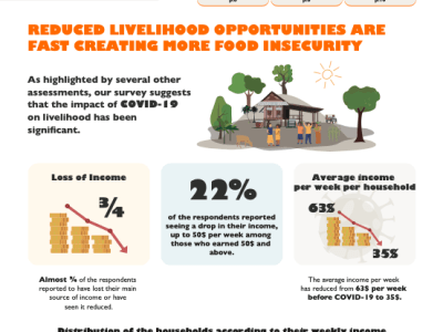 Survey on the Impact of COVID-19 on Vulnerable Households in Cambodia