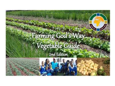 Farming God's Way: Vegetable Garden 