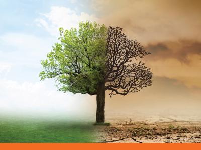 World Vision Albania