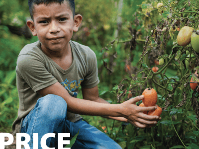 This is the cover page for Price Shocks 3.0 report from World Vision International