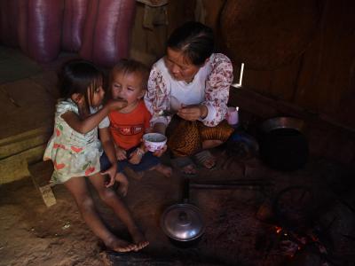 Seasoning malnutrition away in Laotian Children through a sustainable recipe 