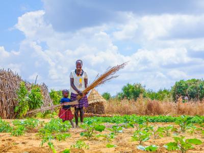 Zai Pits Transforming Nutrition and Food Security in Karamoja