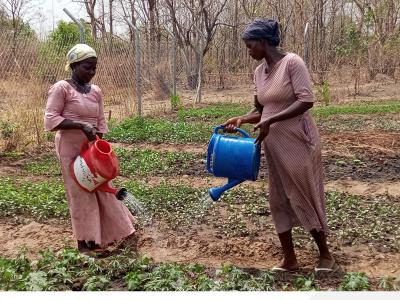 Dry season farmers