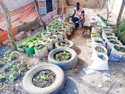 Kalifa, a Passionate Advocate for Soilless Farming