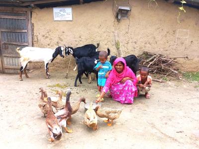 Impact of Conditional Cash Transfer project