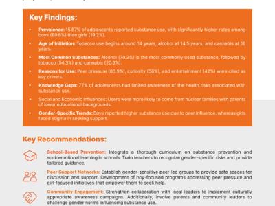 Summary_Substance Use