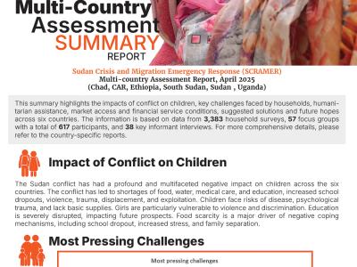 Multi- Country assessment report