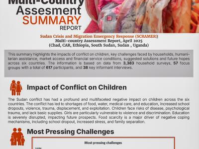 Multi- Country assessment report