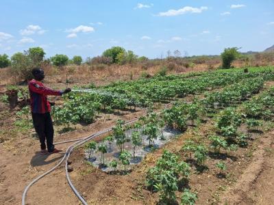 South Sudanese farmer 
