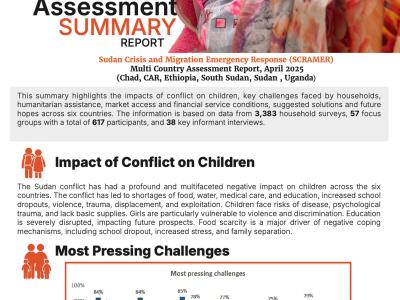Multi- Country Assessment SUMMARY REPORT- SCRAMMER