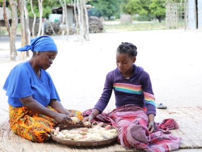 Constância and her daughter shelling the little maize that was left