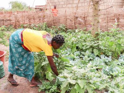 Burkina Faso: World Vision Relies on Family Gardens to Sustainably Combat Malnutrition