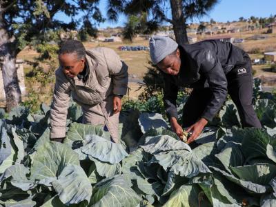 a symbol of resilience and transformation through community savings. 