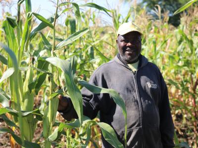 Pastor Américo in his maize field