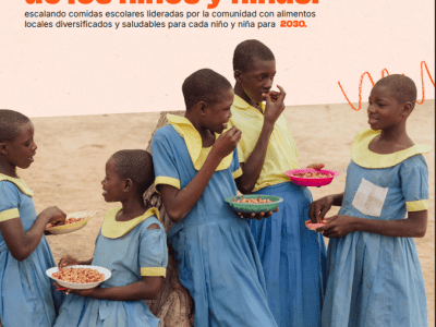 School Meals Policy Brief