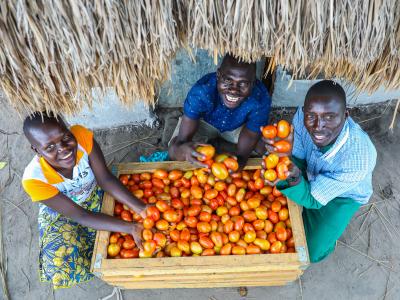 Tairi s Journey of Resilience and Renewal through Farming and Faith