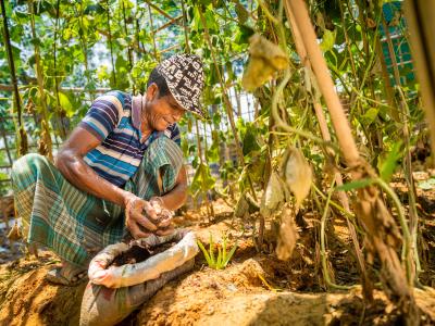 A man is using compost
