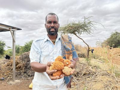 Ibrahim proudly hold a bundle of sorghum harvested from his farm in Hudur, Somalia. 