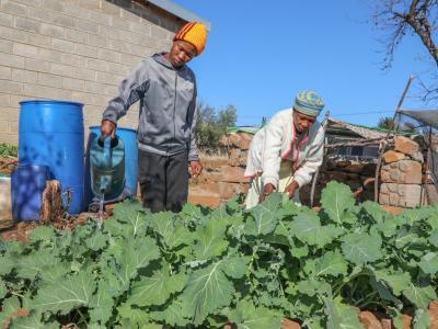 World Vision Climate Smart Agriculture