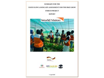 Grow ENRICH Food Flow Landscape Assessment Summary