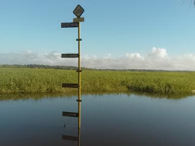 Standing guard against rising waters, these posts mark a community’s commitment to  preparedness and resilience.