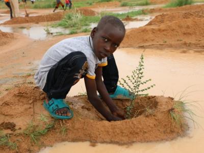 A child from the Dogo AP planting a tree at the national planting site during the 2025 National Tree Day in Zinder