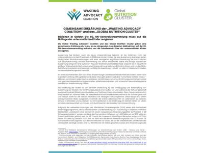WAC GNC Joint Statement UNGA 80 German