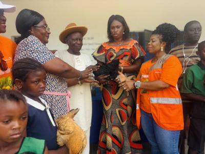 Handing over of chickens
