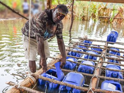 Xavier Kehali next to the crab nursery cage