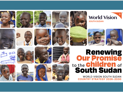 WSS Country Strategy