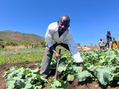 Mozambique: School Feeding is Reshaping Local Markets, Turning Small Producers Into Key Suppliers.