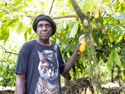 Sam standing proudly beside a thriving cacao tree