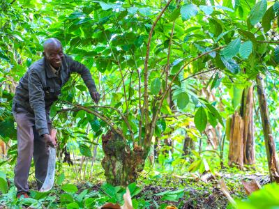 From Barren Land to a Thriving Farm: Patrick’s FMNR Journey