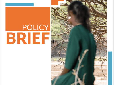 FGM Policy Brief