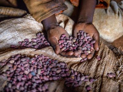 close up shot of a child's hands holding a scoop of dried beans