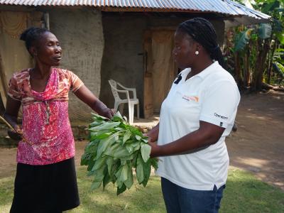 58‑year‑old Yolette rebuilt her livelihood through World Vision’s Jaden Lakou initiative