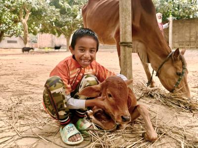 Hasan with his family cow in Birol, Dinajpur. 